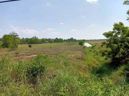 ขายที่ดิน