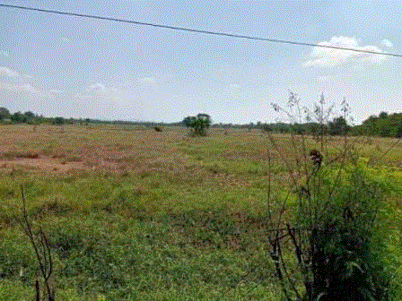 ขายที่ดิน